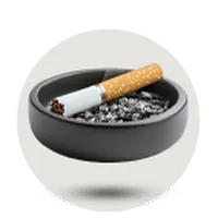 زیرسیگاری result